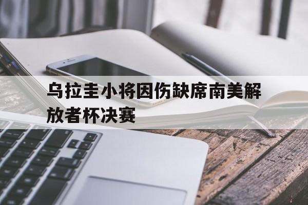 包含乌拉圭小将因伤缺席南美解放者杯决赛的词条