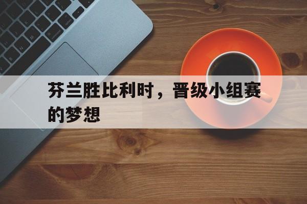 芬兰胜比利时，晋级小组赛的梦想